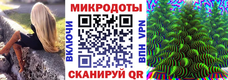 Псилоцибиновые грибы Cubensis  Старая Русса 