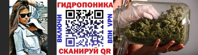 где можно купить наркотик  Старая Русса  Канабис Bruce Banner 